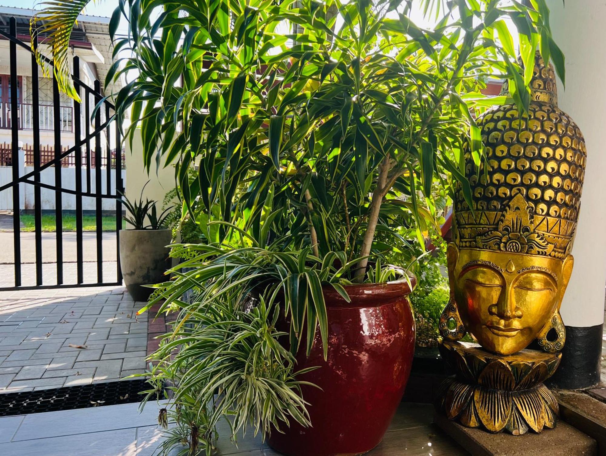 Villa Famiri Boutique Hotel Paramaribo Kültér fotó